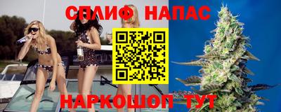 прущие грибы Моздок
