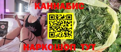 прущие грибы Моздок